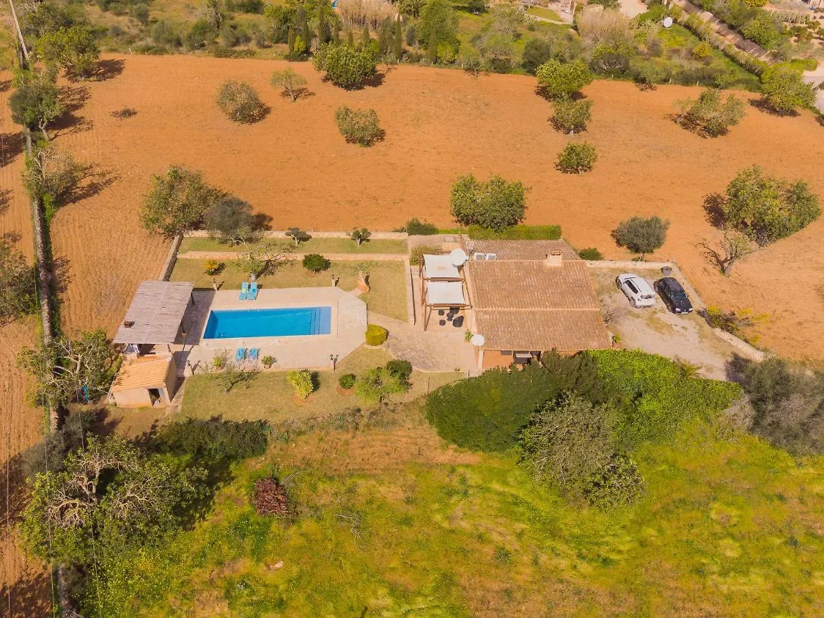 Finca Alou S'Horta España